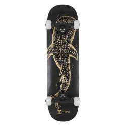 Skate TRIGGER Whale Shark 8.0